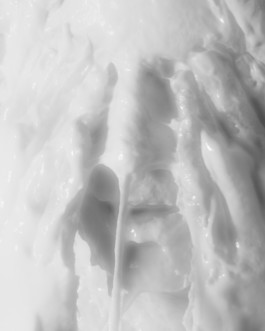 Gedvilė Tamošiūnaitė