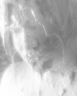 Gedvilė Tamošiūnaitė