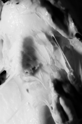 Gedvilė Tamošiūnaitė