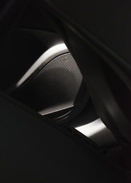 Gedvilė Tamošiūnaitė