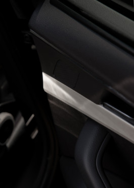 Gedvilė Tamošiūnaitė