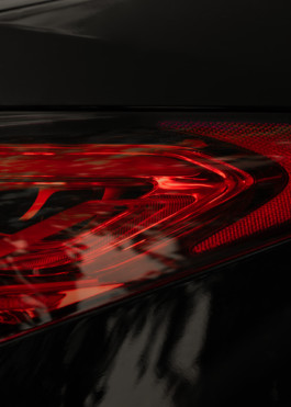 Gedvilė Tamošiūnaitė