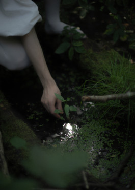 Gedvilė Tamošiūnaitė