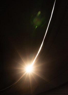 Gedvilė Tamošiūnaitė