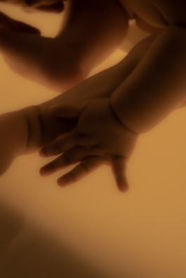 Gedvilė Tamošiūnaitė