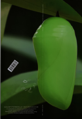 Gedvilė Tamošiūnaitė