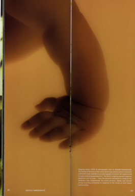 Gedvilė Tamošiūnaitė