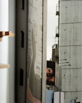 Gedvilė Tamošiūnaitė