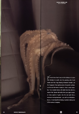 Gedvilė Tamošiūnaitė