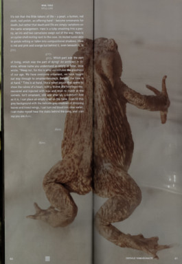 Gedvilė Tamošiūnaitė