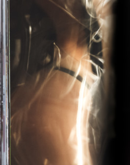 Gedvilė Tamošiūnaitė