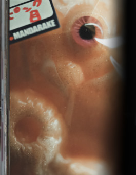 Gedvilė Tamošiūnaitė