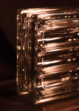 Gedvilė Tamošiūnaitė