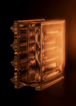 Gedvilė Tamošiūnaitė