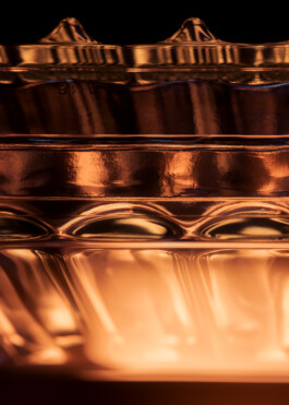 Gedvilė Tamošiūnaitė