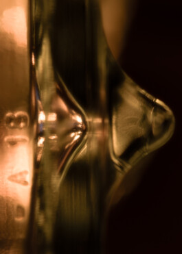 Gedvilė Tamošiūnaitė