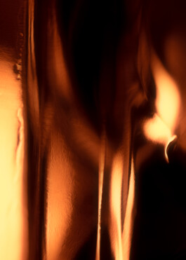 Gedvilė Tamošiūnaitė