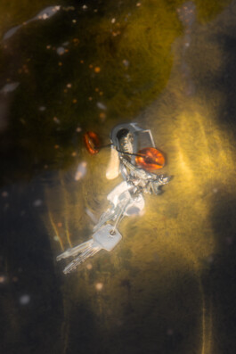 Gedvilė Tamošiūnaitė