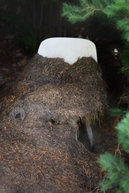 Gedvilė Tamošiūnaitė