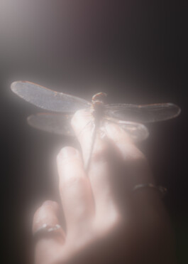 Gedvilė Tamošiūnaitė