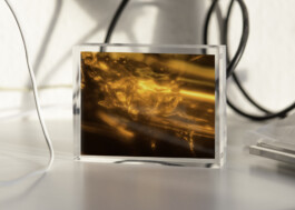 Gedvilė Tamošiūnaitė