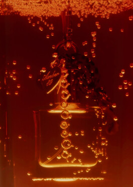 Gedvilė Tamošiūnaitė