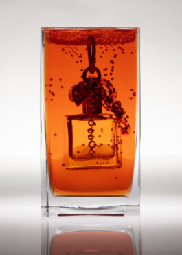 Gedvilė Tamošiūnaitė