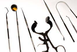 Gedvilė Tamošiūnaitė