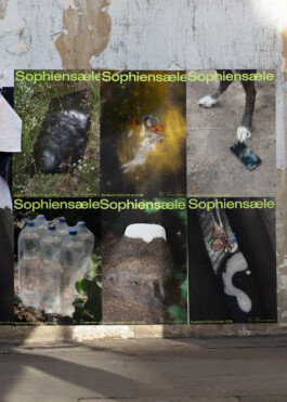 Gedvilė Tamošiūnaitė