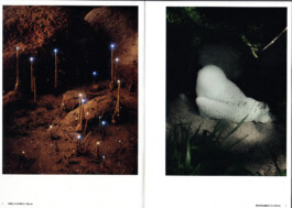 Gedvilė Tamošiūnaitė