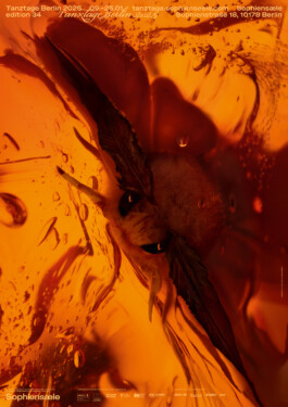 Gedvilė Tamošiūnaitė