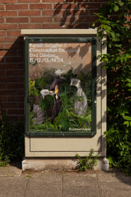 Gedvilė Tamošiūnaitė