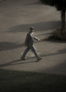 Gedvilė Tamošiūnaitė