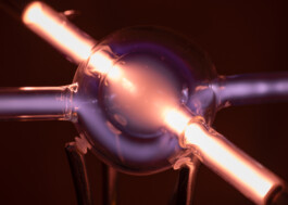 Gedvilė Tamošiūnaitė