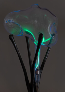 Gedvilė Tamošiūnaitė