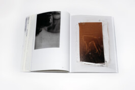 Gedvilė Tamošiūnaitė