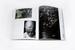 Gedvilė Tamošiūnaitė