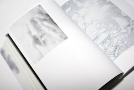 Gedvilė Tamošiūnaitė