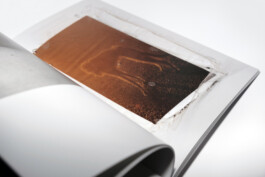 Gedvilė Tamošiūnaitė