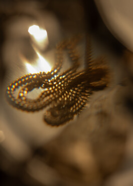 Gedvilė Tamošiūnaitė