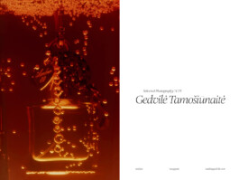 Gedvilė Tamošiūnaitė