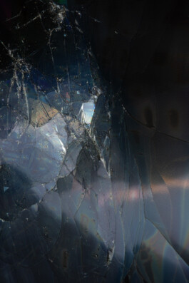 Gedvilė Tamošiūnaitė