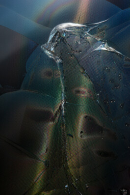 Gedvilė Tamošiūnaitė