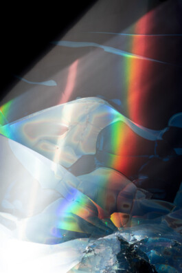 Gedvilė Tamošiūnaitė