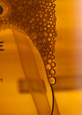 Gedvilė Tamošiūnaitė