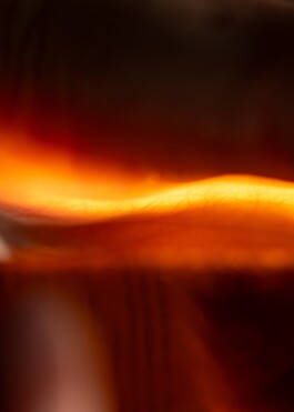 Gedvilė Tamošiūnaitė