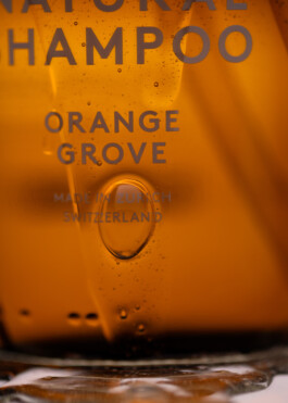 Gedvilė Tamošiūnaitė