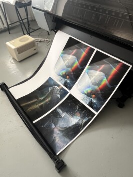 Gedvilė Tamošiūnaitė