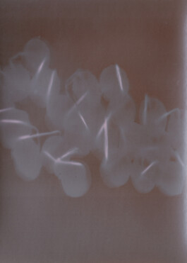 Gedvilė Tamošiūnaitė