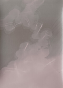 Gedvilė Tamošiūnaitė